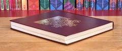 The Fractal Geometry of Nature Updated Benoit Mandelbrot, 1983 1st/1st HCDJ FINE