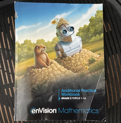 Savvas enVision Math Grade 3 Additional Practice Workbook Topics 1-16