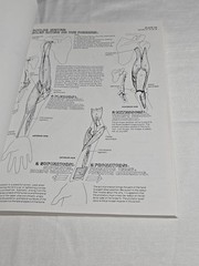 Anatomy Coloring Book 1977 Vintage Wynn Kapit Elson Science Practice Clean Pages