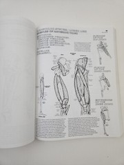 THE ANATOMY COLORING BOOK by Lawrence M. Elson and Wynn Kapit (1997 softcover)
