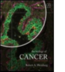 Biology of Cancer, Paperback by Weinberg, Robert A., Like New Used, Free ship…