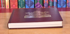 The Fractal Geometry of Nature Updated Benoit Mandelbrot, 1983 1st/1st HCDJ FINE