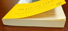 Brain on Fire: My Month of Madness Susannah Cahalan