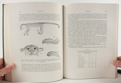 A.M. Husson’s The Mammals of Suriname 1978 Brill VG+ Zoology 152 Species
