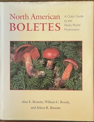North American Boletes : A Color Guide to the Fleshy Pored Mushrooms Hardcover
