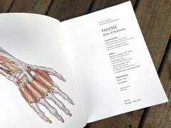 General Anatomy and Musculoskeletal System THIEME Atlas of Anatomy