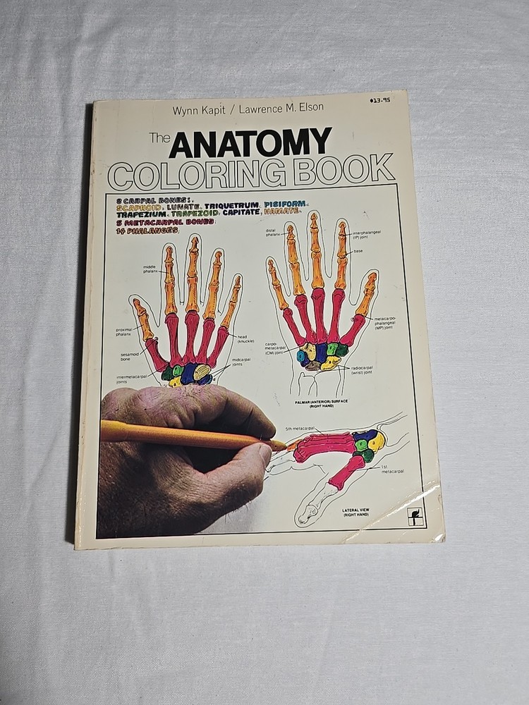 Anatomy Coloring Book 1977 Vintage Wynn Kapit Elson Science Practice Clean Pages