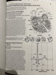 Anatomy : Coloring Book by Wynn Kapit and Lawrence M. Elson (1997, Trade…
