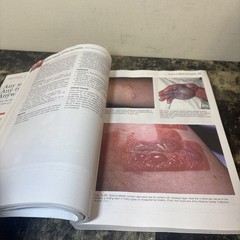 Urgent Care Dermatology: Symptom-Based Diagnosis by Whitney A. High and James E