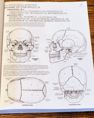 The Anatomy: Coloring Book by Lawrence M. Elson and Wynn Kapit, Second Edition