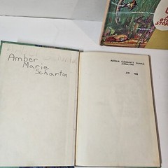 Vtg Childrens School Reading Books Basic 1966 LIterature Elementary Language