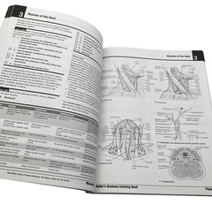 NETTERS ANATOMY COLORING BOOK John T. Hansen Updated 2nd Ed Netter Basic Science