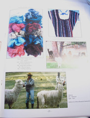 Spinning Llama and Alpaca Chris Switzer Signed Paperback 52 Pages