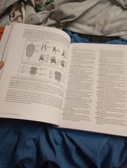 Anatomy & Physiology 2e Books 1 & 2 Set of 2 Textbooks Paper Back Like New Cond