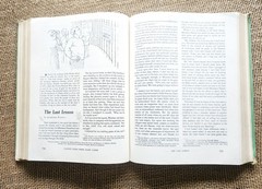 1955 Exploring Life Through Literature Textbook Scott Foresman