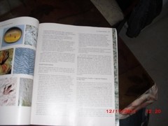 Essentials of Geology 2e, Marshak, Stephen