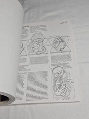 Anatomy Coloring Book 1977 Vintage Wynn Kapit Elson Science Practice Clean Pages