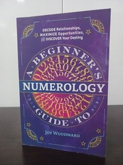 A Beginner’s Guide to Numerology : Decode Relationships, Maximize Opportunities,