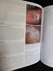 Dermatology Vol 1 Third Edition Bolognia Jorizzo Schaffer HC 2012