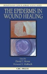 The Epidermis in Wound Healing by David T Rovee: New