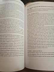 Representing Parents Child Welfare Guggenheim Martin Textbook 2015 ABA