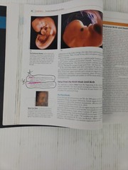 The Developing Person Through the Life Span 2017, 10th Edition, Kathleen Berger