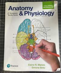 Anatomy and Physiology Coloring Workbook : A Complete Study Guide by Elaine…